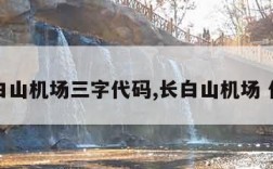 长白山机场三字代码,长白山机场 代码