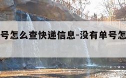 没有单号怎么查快递信息-没有单号怎么能查快递