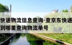 查京东快递物流信息查询-查京东快递物流信息查询到哪里查询物流单号